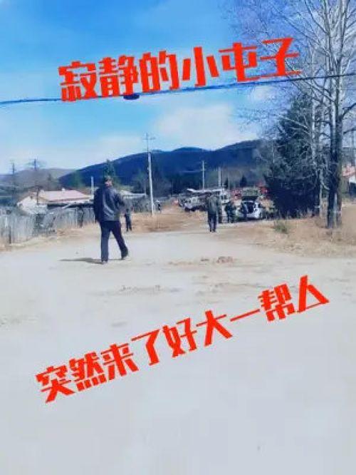 屯子最新爆料事件是真的吗,事件真实性揭秘